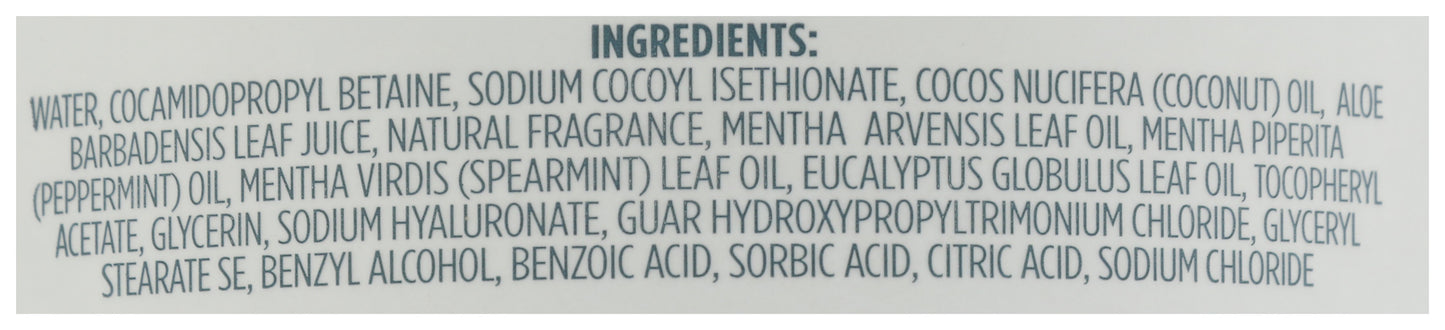 3-in-1 Nourishing Cleanser Mint & Eucalyptus